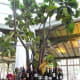 Decorative bar area in De Plantage.