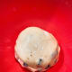 Transfer the dough into a greased bowl. Let it stand in a warm place for an hour.