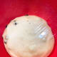 After an hour, the dough should look like this.