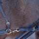 A sturdy snap is a must! If any competing is to be done, the snap must match the harness. If the buckles, etc. on the harness are brass, the snap should be brass. If they are stainless, so should be the snap.
