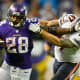 Running back Adrian Peterson is handed the ball and runs as far as he can. He can also catch the ball occasionally and block for the QB.