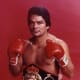 The Champ