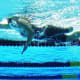 Swimmer Natalie du Toit