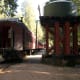 the-skunk-train