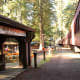the-skunk-train