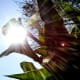 This shot was taken by shooting directly into the sunlight.