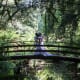 Dappled light creates a flair of flamboyance to your images