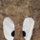 Cut two ovals from your white fabric. Use your marker to fill in pupils.