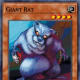 Giant Rat