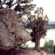 Balancing Rock in Escalante Petrified Forest State Park