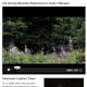 The article features high quality and relevant supplementary video footage via the Video Capsule and shares summarized details in a Table Capsule
