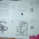 These are some of the pages I created for my invitation booklets.