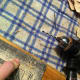 I then used a drill to make two holes on the left side of each stack so that the pages and covers could be secured together.
