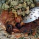 mutton-liver-fry