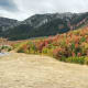 This beautiful fall foliage was captured in Mantua, Utah
