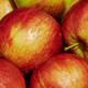 Gala apples