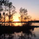 Sunrise over Mille Lacs at Father Hennepin State Park.