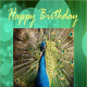 do-you-make-your-own-greeting-cards