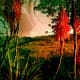 the-night-sky-darkens