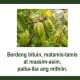bugtong-filipino-riddles-ii