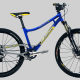 Ancillotti 4X