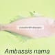 Ambassis nama