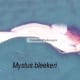 Mystus bleekeri
