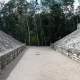 A Maya Pitz Court
