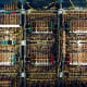 Inside the computer.