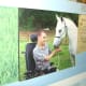 arabian-horses-are-not-crazy