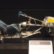 Marquardt Space Sled