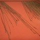 A Quipu.