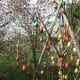 Americans also like Easter Egg trees.