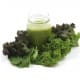 Spinach and kale