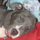 3 months old