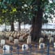 ghost-stories-of-huntsville-alabama
