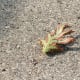 fall-autumn-jewelry-making-inspiration-designs-colors-other-ideas