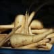 Parsley Roots