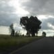 Between Kroonstad and Bethlehem, Free State, South Africa