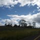 Between Kroonstad and Bethlehem, Free State, South Africa