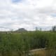 Between Bethlehem and Harrismith, Free State, South Africa