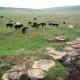 Near Harrismith, Free State
