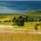 Harrismith, South Africa