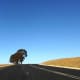 Between Bethlehem and Harrismith, Free State, South Africa