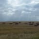 Between Kroonstad and Bethlehem, Free State, South Africa