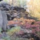 Rocks and fall colors along Sandy Creek Trail