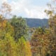 Sandy Creek Trail in fall