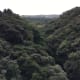 your-guide-to-yakushima-with-no-car