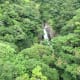 your-guide-to-yakushima-with-no-car