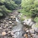 your-guide-to-yakushima-with-no-car